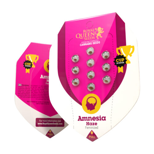 Amnesia Haze Box