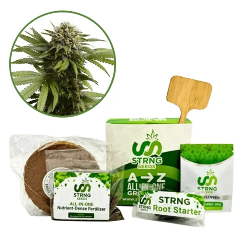 Apple Fritter Premium Grow Kit