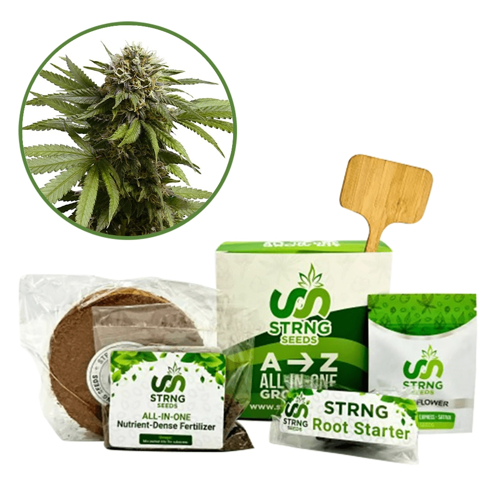 Apple Fritter Premium Grow Kit