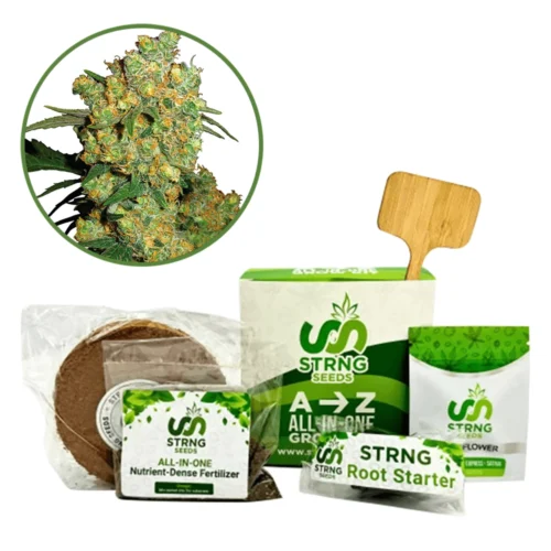 Big Bud Premium Grow Kit