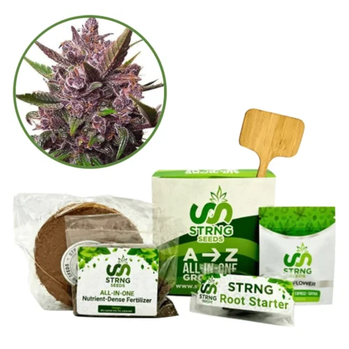 Blackberry Kush Premium Grow Kit