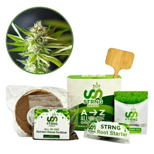 Blue Dream x Northern Lights Premium Grow Kit