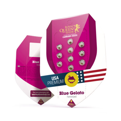 Blue Gelato Box