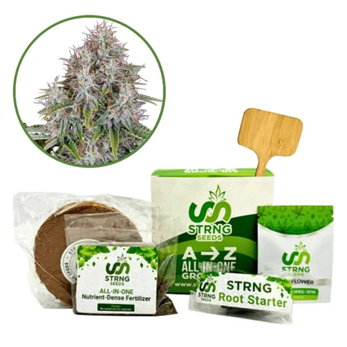 Blue Haze Premium Grow Kit