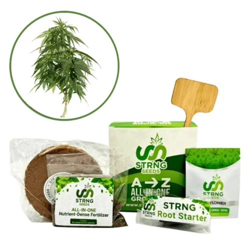 Blueberry Premium Grow Kit