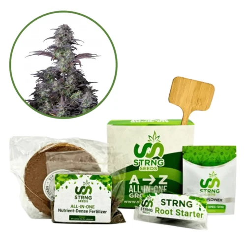 Blueberry Premium Grow Kit