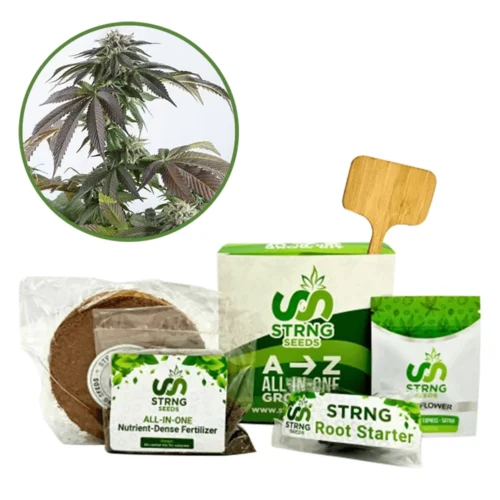 Bubba Kush Premium Grow Kit