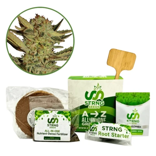 Bubble Gum Premium Grow Kit