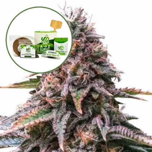 Cherry Pie Strain Grow Kit