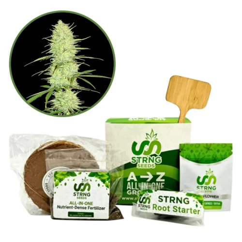 Cinderella 99 Premium Grow Kit