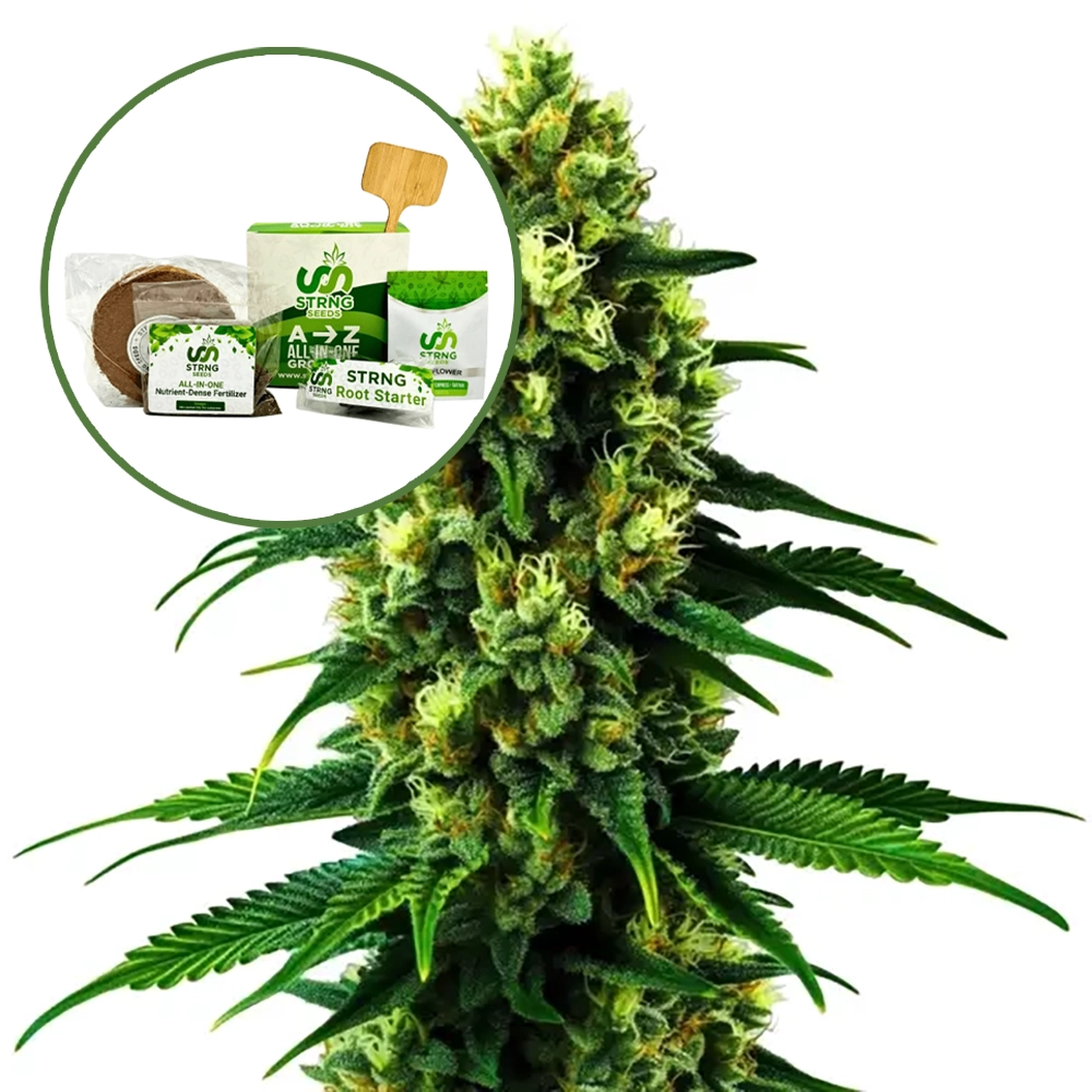 Colombian Gold Strain Grow Kit