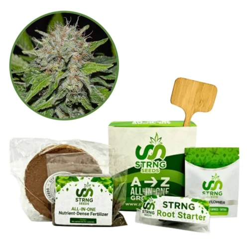 Deep Mandarine Premium Grow Kit