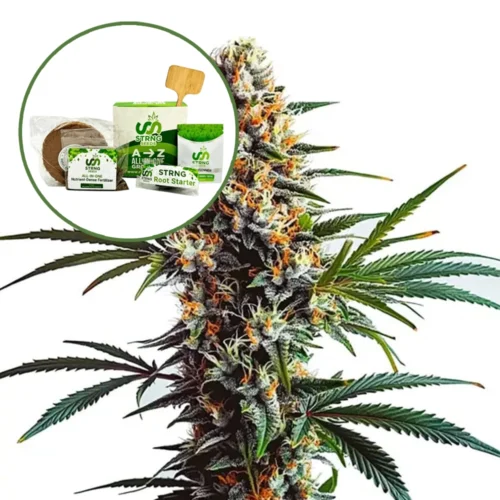 Doug’s Varin Strain Grow Kit