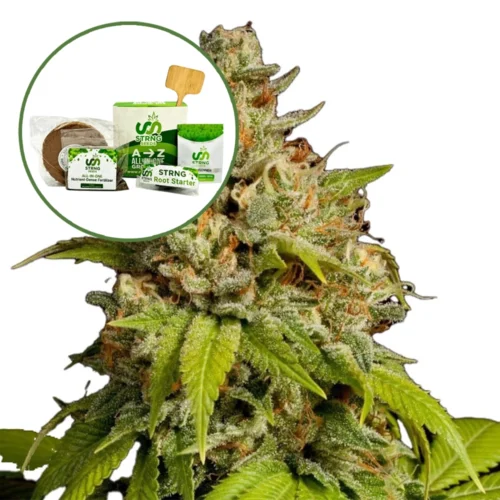 Durban Poison Strain Grow Kit