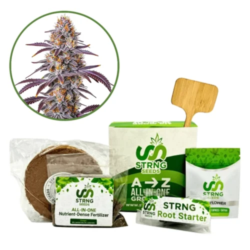 Gelato 33 Premium Grow Kit