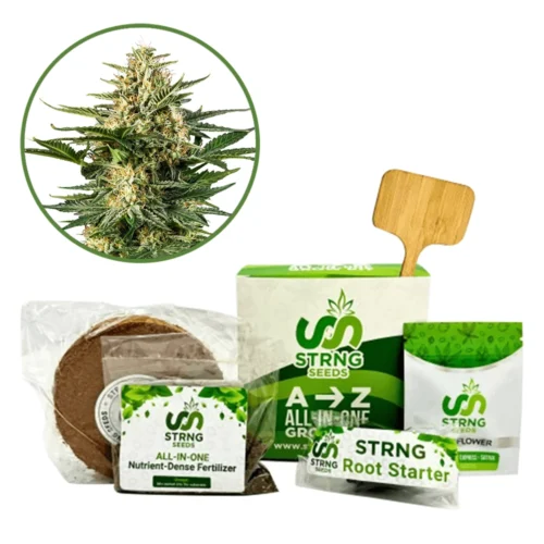 Green Gelato Premium Grow Kit