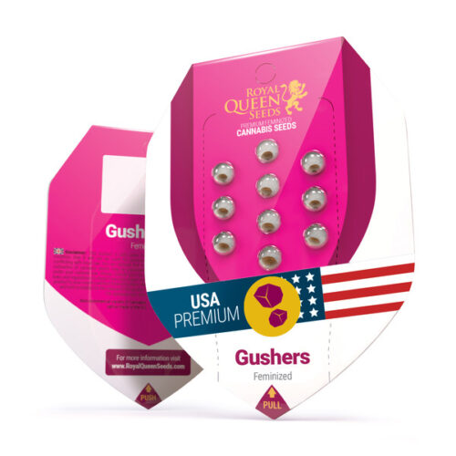 Gushers Box