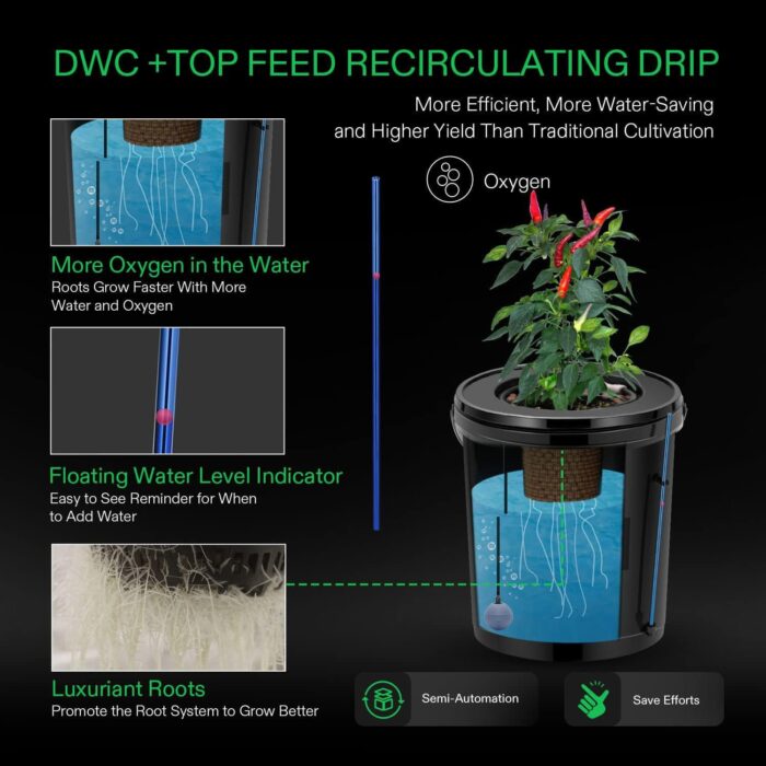 Hydroponic Grow System