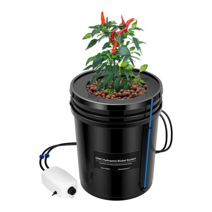 Hydroponic Grow System