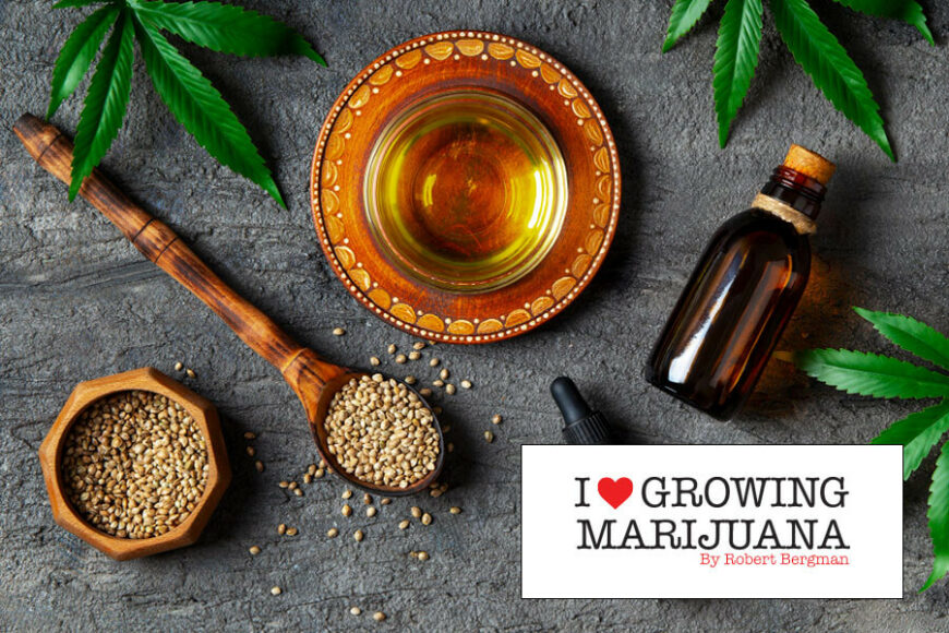 ILGM Seed Bank What Makes It a Trusted Choice for Growers? Premium