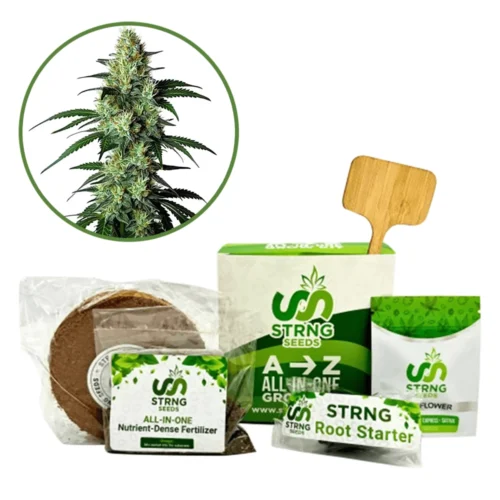 King Louis Premium Grow Kit