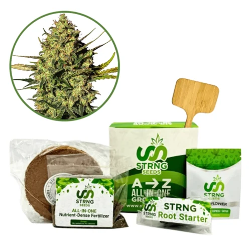 Master Kush Premium Grow Kit