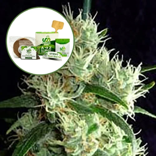 Outer Space Strain Grow Kit