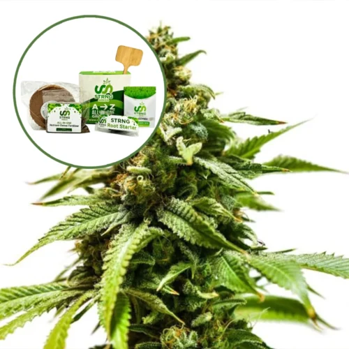 Power Punch Strain Grow Kit