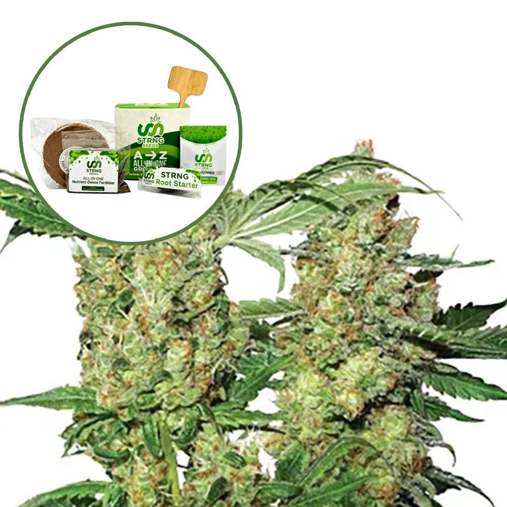 Pure Power OG Strain Grow Kit