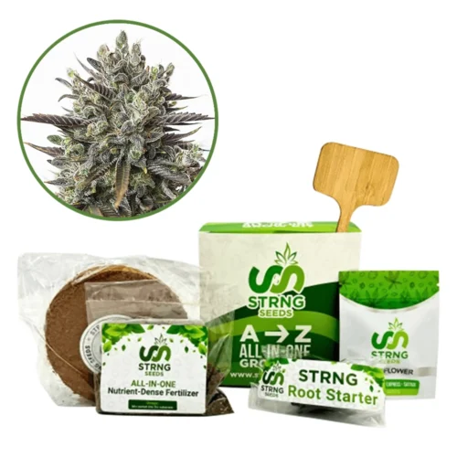 Purple Orange CBD Premium Grow Kit