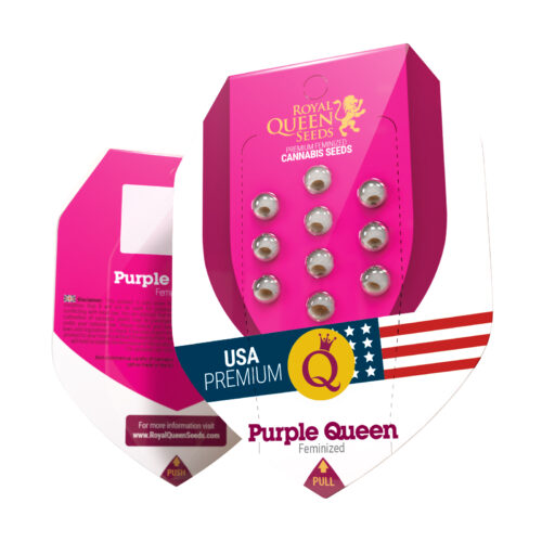 Purple Queen Box