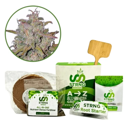 Runtz Premium Grow Kit