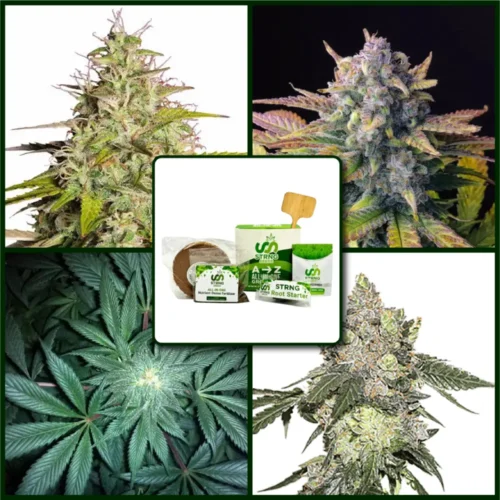 Cookie Strains Kit Bundle