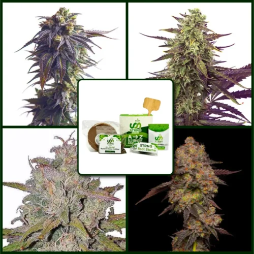 Hybrid Heros Strains Kit Bundle