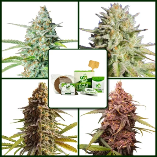 Indica Strains Kit Bundle