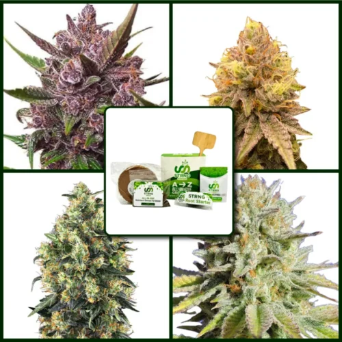 Indoor Strains Kit Bundle