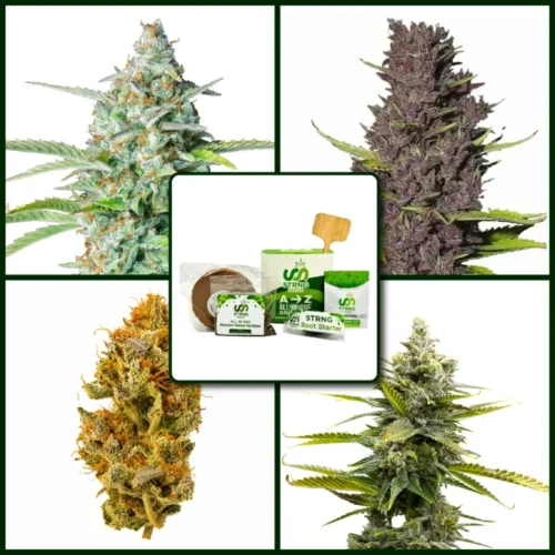 Learn to Grow Kits Bundle