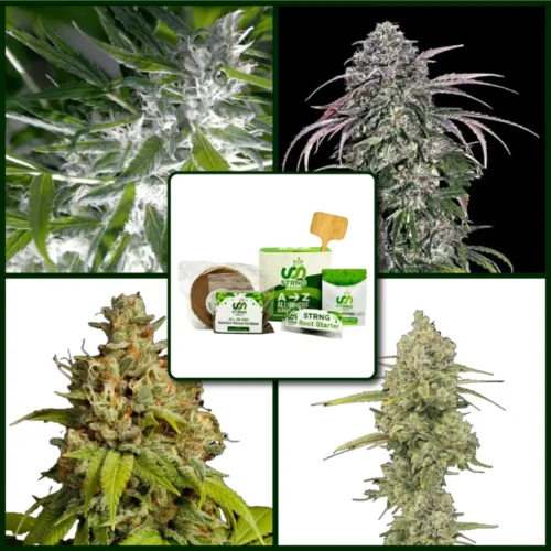 Outdoor Strains Kit Bundle