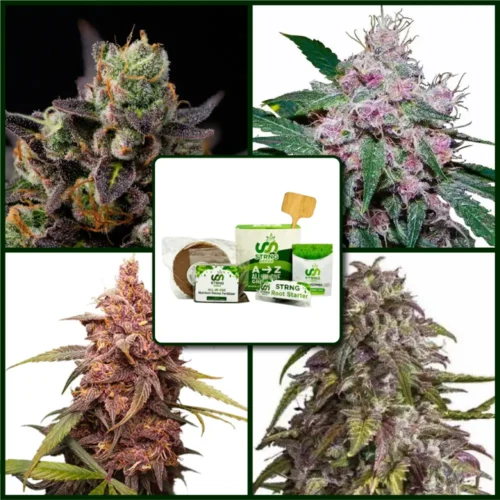 Purple Strains Kit Bundle