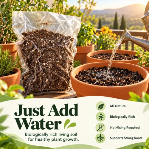 Organic Living Soil
