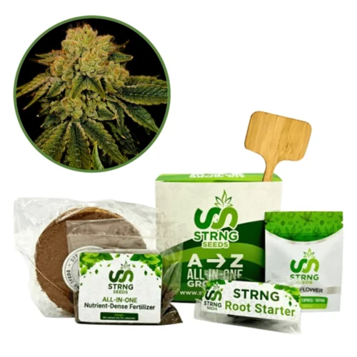 Space Cake Premium Grow Kit