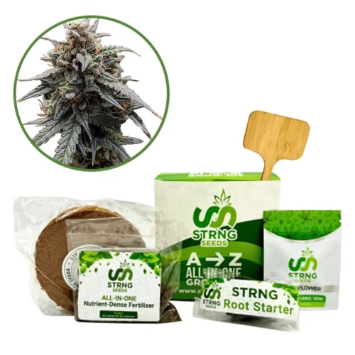 Sweet Tooth Premium Grow Kit