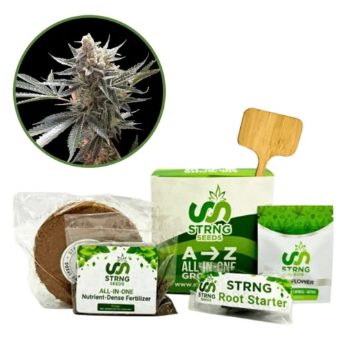 Tangie Premium Grow Kit