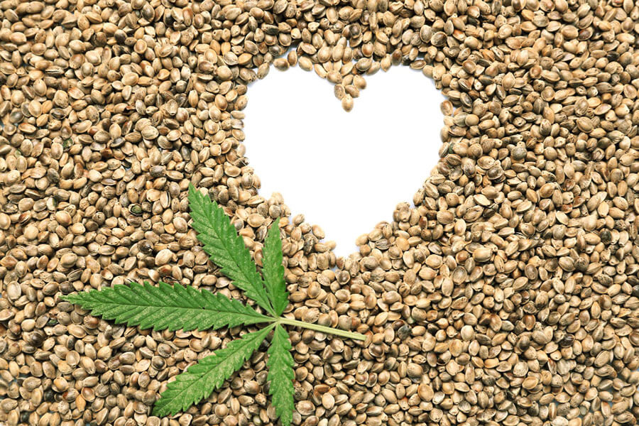 The Best Cannabis Seeds