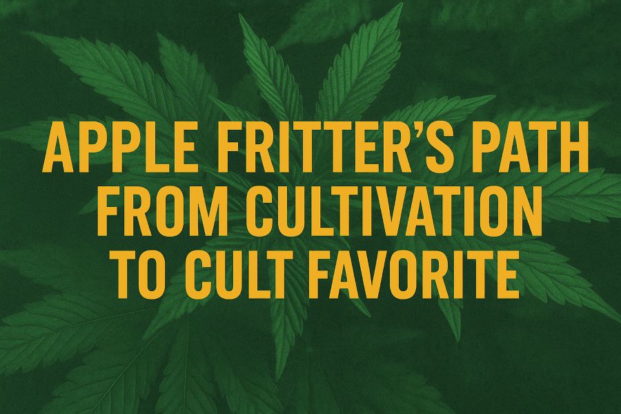 Apple Fritter’s Path from Cultivation to Cult Favorite