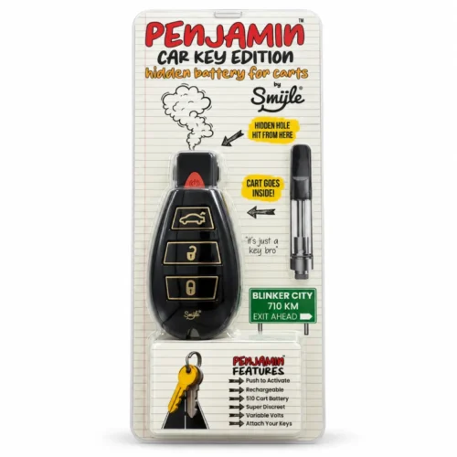 Penjamin Car Key Hidden Battery For Carts
