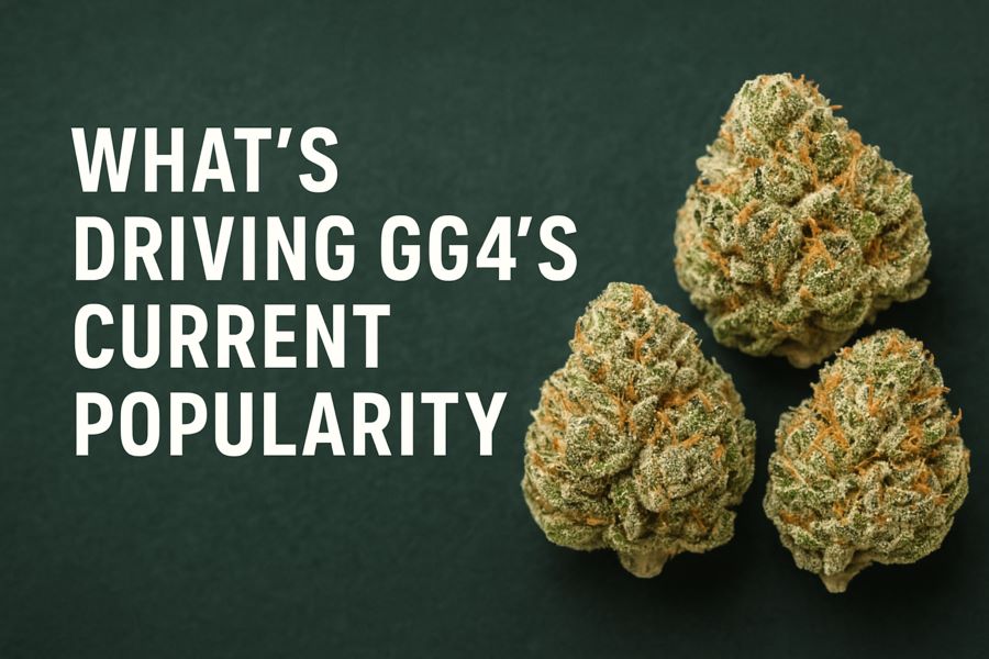 What’s Driving GG4’s Current Popularity