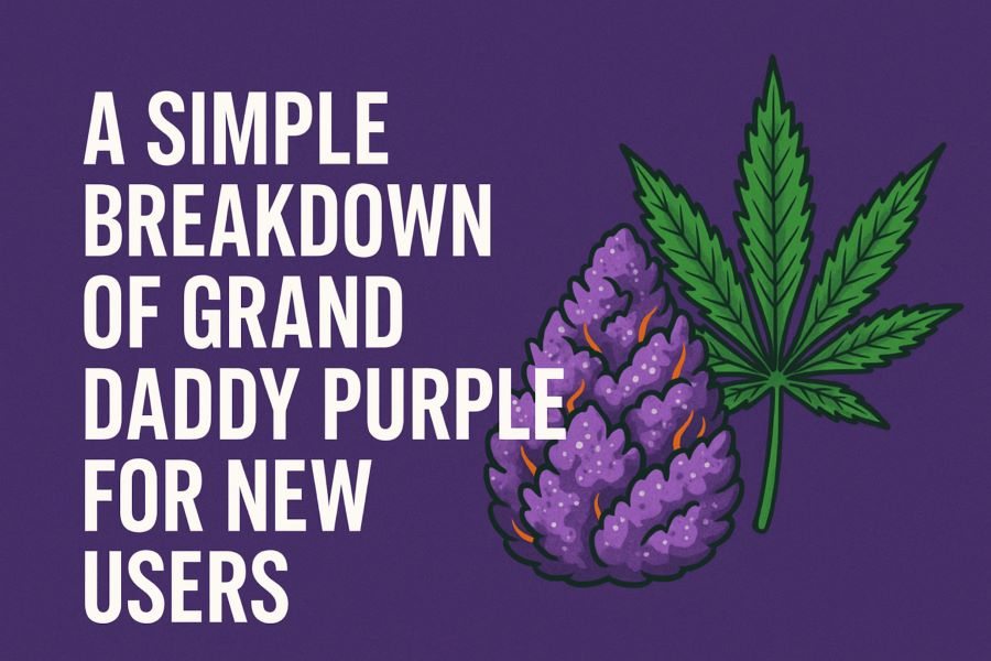 A Simple Breakdown of Grand Daddy Purple for New Users