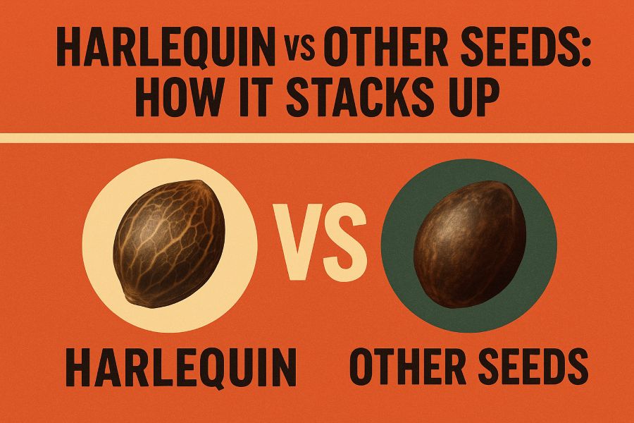 Harlequin vs Other Seeds: How It Stacks Up