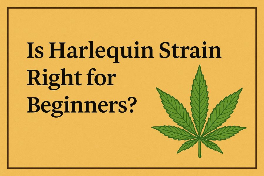 Is Harlequin Strain Right for Beginners?